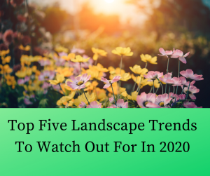 Top Five Landscape Trends To Watch Out For In 2020